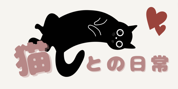 cook 今日なに作ろ？